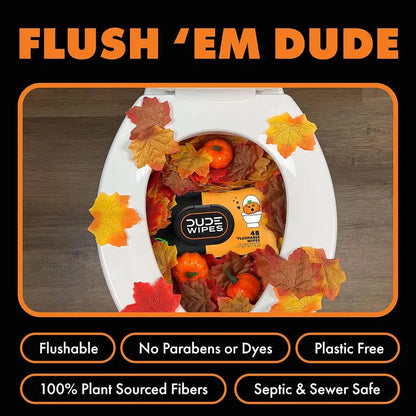 Flushable Wipes - 6 Pack, 288Wipes - DUMPkin Spice with Clove, Nutmeg,and Other Fall Scents - Septic and Sewer Safe