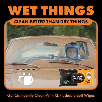 Flushable Wipes - 6 Pack, 288Wipes - DUMPkin Spice with Clove, Nutmeg,and Other Fall Scents - Septic and Sewer Safe